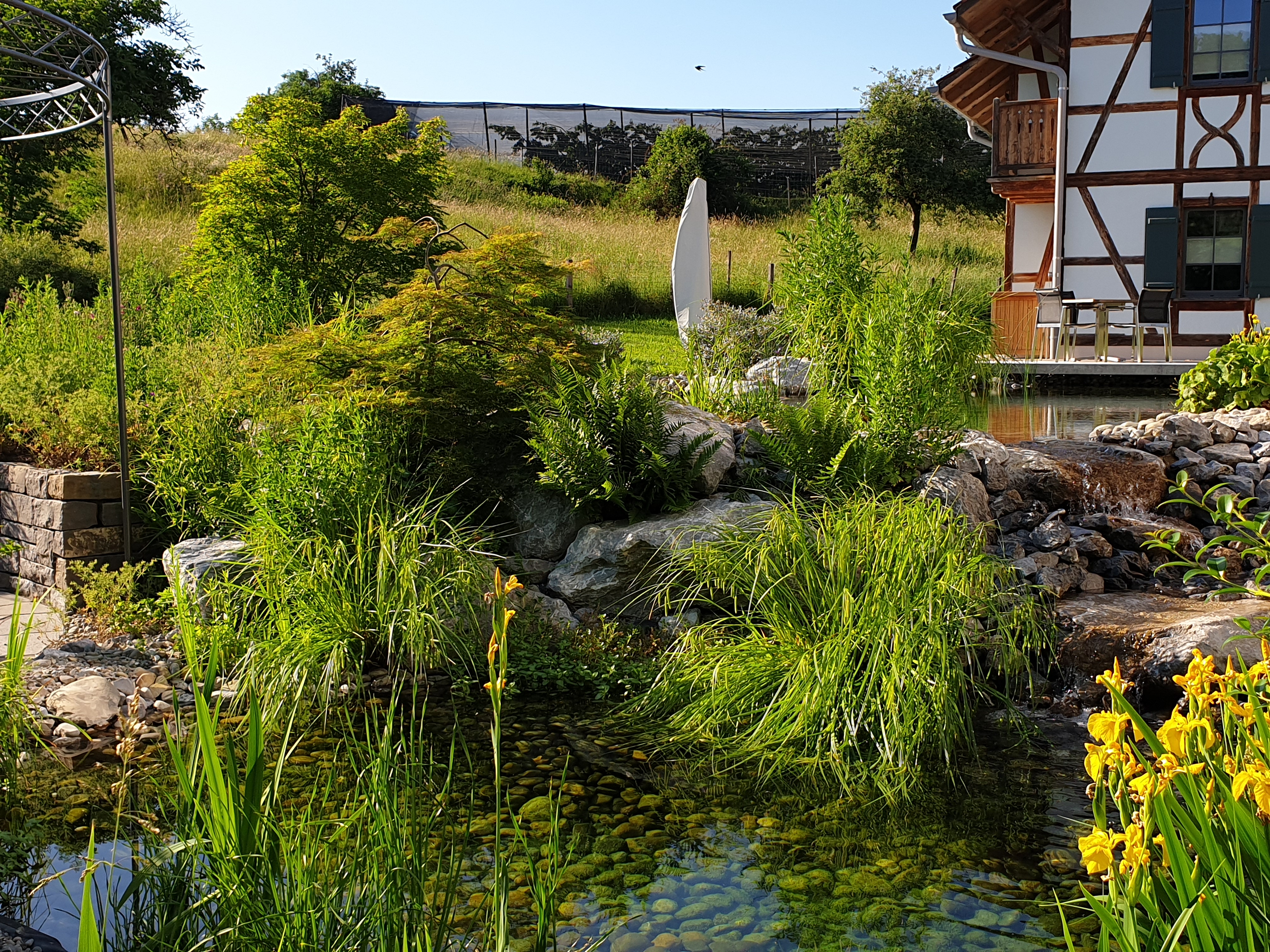 Bachlauf Teich Teichbau Wasserfall Serena Gartenbau Uster